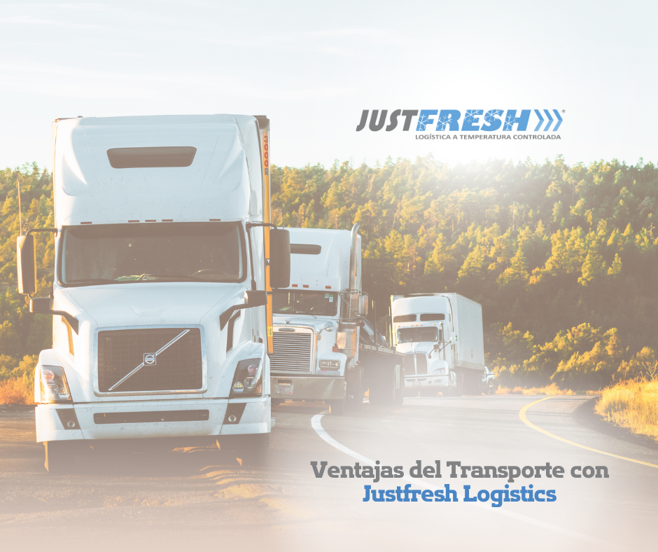 Ventajas de transporte refrigerado con Justfresh Logistics